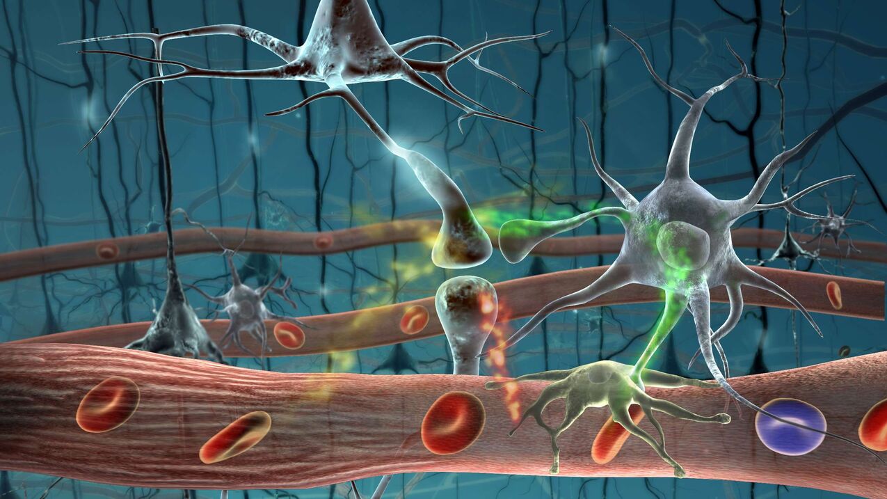 Parasitenzellen im menschlichen Körper